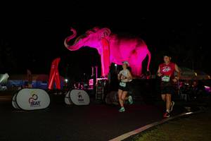 BIB: 
                            <button type="button" onclick="openModal(26543375)" class="btn btn-primary btn-sm float-right btn-popup" data-toggle="modal" data-target=".modal-high-quality">
                        <i class="fas fa-shopping-cart"></i> Add to Cart
                    </button>
                                            <button type="button" onclick="isThisMe(26543375, true)" class="btn btn-success btn-sm float-right btn-popup btn-isme hidden" data-toggle="tooltip" data-placement="bottom" title="นี่คือรูปของคุณใช่ไหม คลิกที่นี่เพื่อเอาเข้าอัลบั้ม">
                        <i class="fas fa-plus"></i> Add to album
                    </button>
                    <button type="button" onclick="isThisMe(26543375, false)" class="btn btn-warning btn-sm float-right btn-popup btn-isnotme hidden">
                        <i class="fas fa-ban"></i> Remove from album
                    </button>